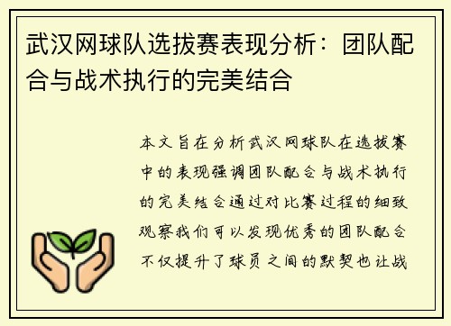 武汉网球队选拔赛表现分析：团队配合与战术执行的完美结合