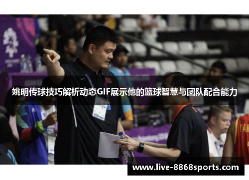 姚明传球技巧解析动态GIF展示他的篮球智慧与团队配合能力